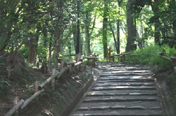Park.jpg