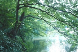 park3.jpg