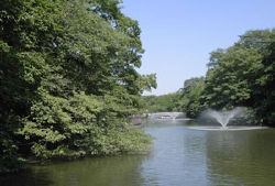 park4.jpg
